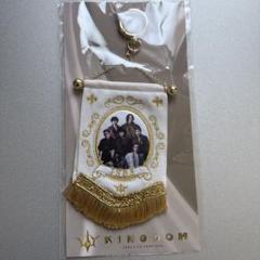 三代目 Kingdom ビジュアルミニタペストリー