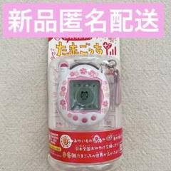 新品本体】祝ケータイかいツー！たまごっちプラス ほわいと
