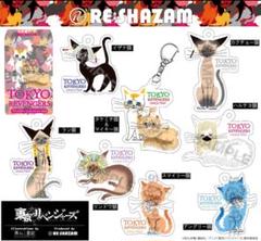 RE:SHAZAM 黒ねこ意匠 〚進撃の巨人〛アクリルキーホルダー コンプSET 進撃の巨人〉全8種コンプリートBOX アクリルチャーム