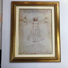 絵画レオナルド・ダビンチ(ウィトルウィウス的人体図)複製画