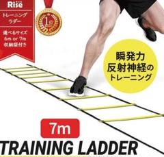 トレーニング ラダー 7m 13枚 収納袋付き 練習 器具