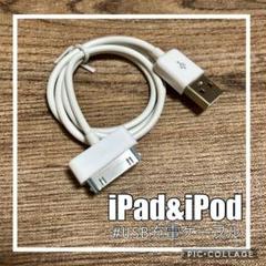 iPad iPodケーブル