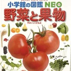 【夏休み】小学館の図鑑　ＮＥＯ　野菜と果物【自由研究】