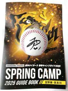 Amazon.co.jp: 阪神タイガース 下村海翔選手 直筆サインボール 2024 沖縄キャンプ限定球 : スポーツ＆アウトドア