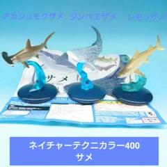 【いきもん 】ネイチャーテクニカラー『サメ』ジンベエザメ アカシュモクザメ等3種のサムネイル