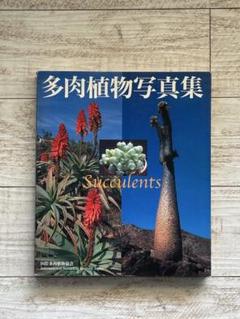 2025年最新】多肉植物写真集の人気アイテム - メルカリ