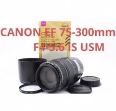 Canon 手ブレ補正付 超望遠レンズ EF 75-300mm IS USM Canon EF 75-300mm f/4-5.6 IS USM（キヤノン） - 中古カメラ