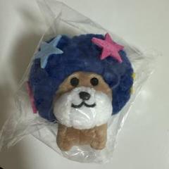 2025年最新】アフロ犬グッズの人気アイテム - メルカリ