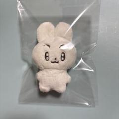 TXT ポバトゥ マスター ぬいぐるみ スビン - メルカリ