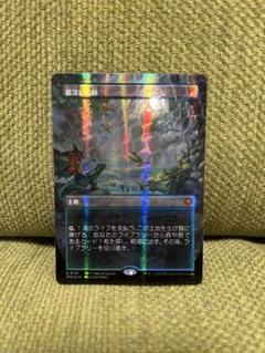 MTG　霧深い雨林/Misty Rainforest　ドラゴンスケイルFoil