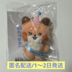 2025年最新】ZERONI マシューの人気アイテム - メルカリ