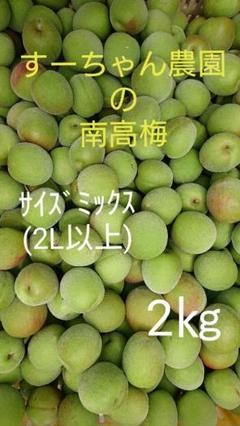 和歌山県産南高梅 サイズミックス 2㎏ 送料込み