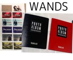 WANDS 大黒摩季　非売品宣伝CD 上杉昇 2025年最新】上杉昇 アルバムの人気アイテム - メルカリ