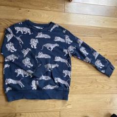 ZARA - 完売品 ザラ 虎 タイガー ジャガード スウェット シャツ