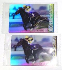 アイドルホース【スターズオンアース/'22オークス】(Mサイズ
