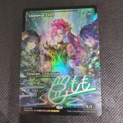 ラノワールのエルフ　ショーケース FOIL 英語　百瀬寿　MTG 2025年最新】ラノワールのエルフ foil ショーケースの人気