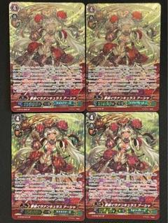 ヴァンガード 夢紡ぐラナンキュラス アーシャ SP フレームレス S-18◇SP◇夢紡ぐラナンキュラス アーシャ 4枚セット V-EB14