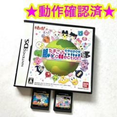 DS たまごっちコレクション たまごっちのなりきりチャンネル