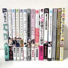 BL漫画15冊セット｜かわにさざなみ・魔王イブロギアに身を捧げよ 他人気作品多数