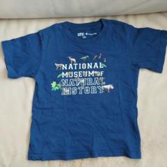 アメリカ自然史博物館HUMAN BIOLOGY & EVOLUTION Tシャツ 2025年最新】自然史博物館 tシャツの人気アイテム - メルカリ