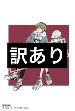 氷の城壁　新品未開封　初版　特典あり 2025年最新】氷の城壁特典の人気アイテム - メルカリ