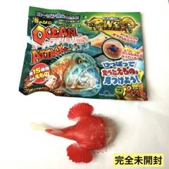 2025年最新】オーシャンアタック&co ローソンの人気アイテム