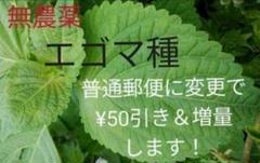 無農薬 エゴマ 種 ガーデニング 園芸 野菜