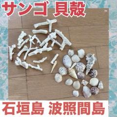 珊瑚 貝殻 石垣島 波照間島 夏休みの工作 天然 箸置き ハンドメイド