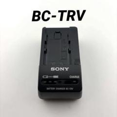 2025年最新】NP-FV100Aの人気アイテム - メルカリ