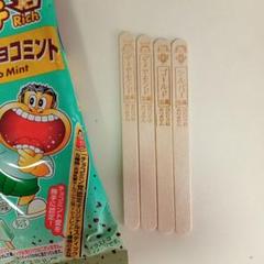 ガリガリ君リッチ革新のチョコミント チョコミン党認定オリジナルスティック棒 4本