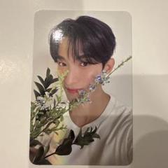 seventeen ドギョム DEAR CARAT 封入トレカ　30枚セット SEVENTEEN 消費期限 CARAT盤 トレカセット ドギョム - メルカリ