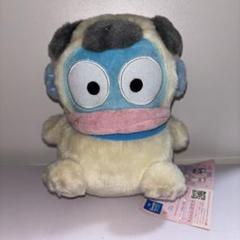 はびだんぶい 着ぐるみわんこぬいぐるみ ハンギョドン パグ
