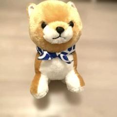 新品　柴犬 ぬいぐるみ 青いバンダナ付き