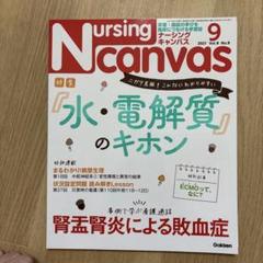 ナーシングキャンバス　2019年〜2022年度　36冊セット 2025年最新】ナーシングキャンパスの人気アイテム - メルカリ