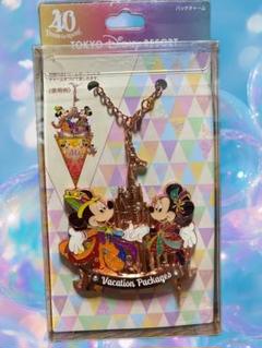 Disney - バケーションパッケージ予約者限定＊.° 40周年バックチャーム３個セット ディズニー バケーションパッケージ限定 40周年 バックチャーム