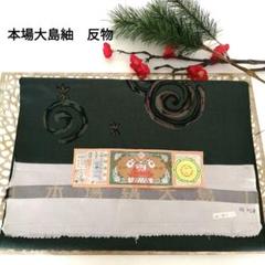 大島紬/反物/ 絹100% 刺繍模様/薩摩染織