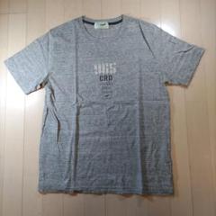 クロコダイルTシャツLグレー965CRD