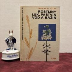 2025年最新】植物図鑑 洋書の人気アイテム - メルカリ