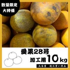 ざわざわ森　愛媛県産　家庭用　愛果28号　柑橘　10kg 楽天市場】愛果 28 号の通販