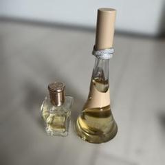 レア 廃盤 リアーナ nude 香水　50ml レア 廃盤 リアーナ nude 香水 50ml 香水