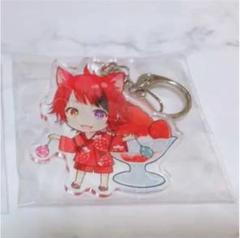 最大の割引 ゆき様専用 莉犬くんアクキーセット - キーホルダー