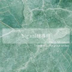 お客様専用ページ】big val様 7/29までお取り置き可能 - メルカリ