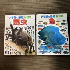 小学館の図鑑NEO 昆虫・魚 2冊おまとめ