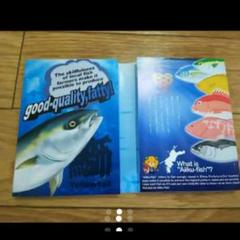 メモ帳 愛媛県 さかな 魚 非売品 養殖 鯛 英語 コレクター