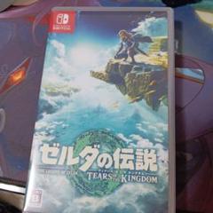 ゼルダの伝説 ティアーズ オブ ザ キングダム