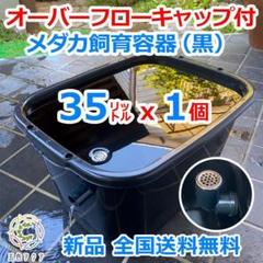 新仕様】メダカ飼育ケース 35㍑黒x1個 オーバーフロー加工済