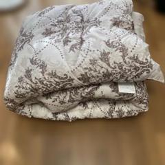 きこ　モリリン　シルキー ダウン 掛ふとん 　2個セット きこ様専用 モリリン シルキー ダウン 掛ふとん 2個セット