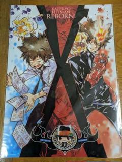 家庭教師ヒットマンREBORN!　沢田綱吉　ツナ　クリアポスター　原作絵 家庭教師ヒットマンREBORN! 沢田綱吉 ツナ クリアポスター 原作絵