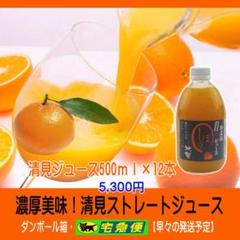 濃縮還元してない・みかんジュース1000ｍｌ×12本　濃厚美味！ 特売！濃縮還元してない・みかんジュース1000ml×12本 濃厚美味！