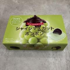 段ボール新品未開封 シャインマスカットボンボン 6点(6袋) 1袋8粒 新品未開封 シャインマスカットボンボン｜Yahoo!フリマ（旧